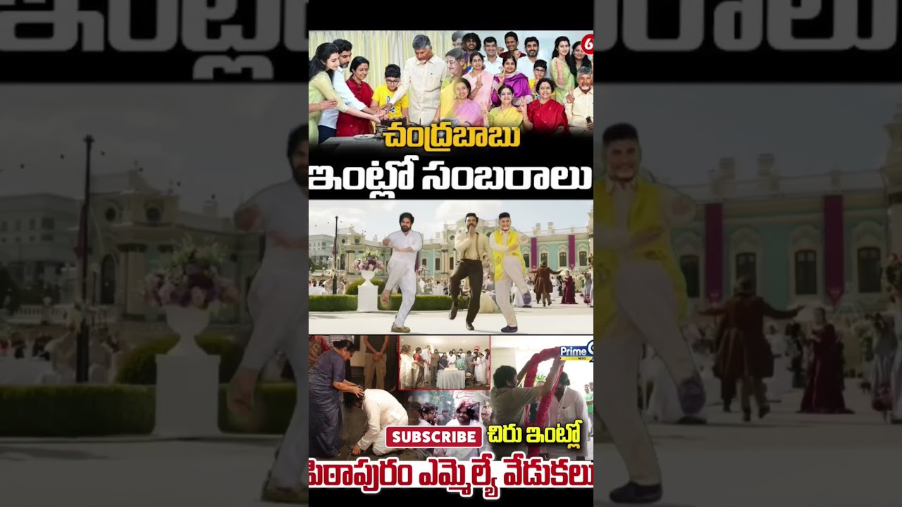 TDP CELEBRATIONS 🎉