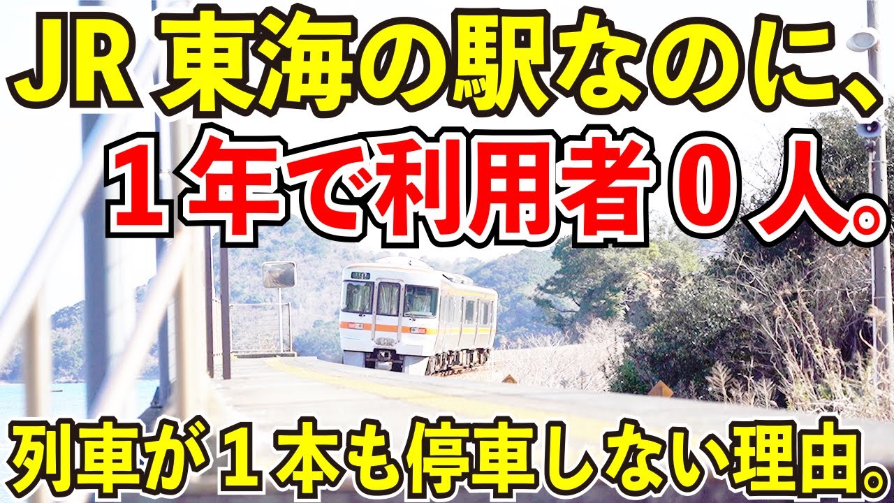 【列車が1本も停車しない理由】JR東海の池の浦シーサイド駅が面白すぎる【1年で利用者0人】