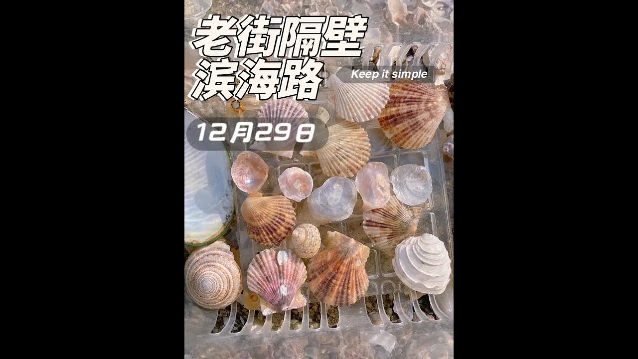 老街隔壁滨海路海提下 带娃探索这个脏脏码头，今天发现了个金牌🥇？捡贝壳建议潮高2米以下去，赶海建议潮高1米以下去#大海的馈赠 #北海 #内容启发搜索 #旅行推荐官 #奇妙的海洋生物