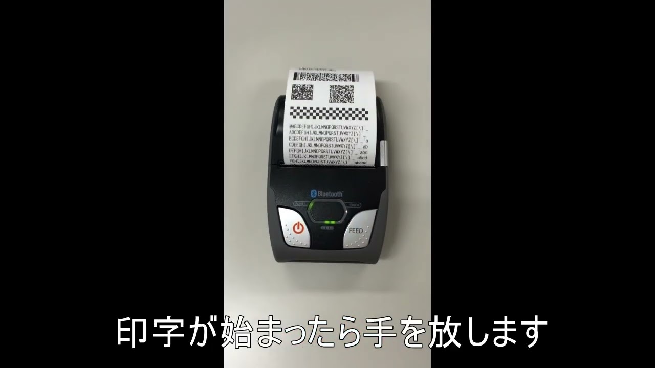 SM S210i セルフテスト