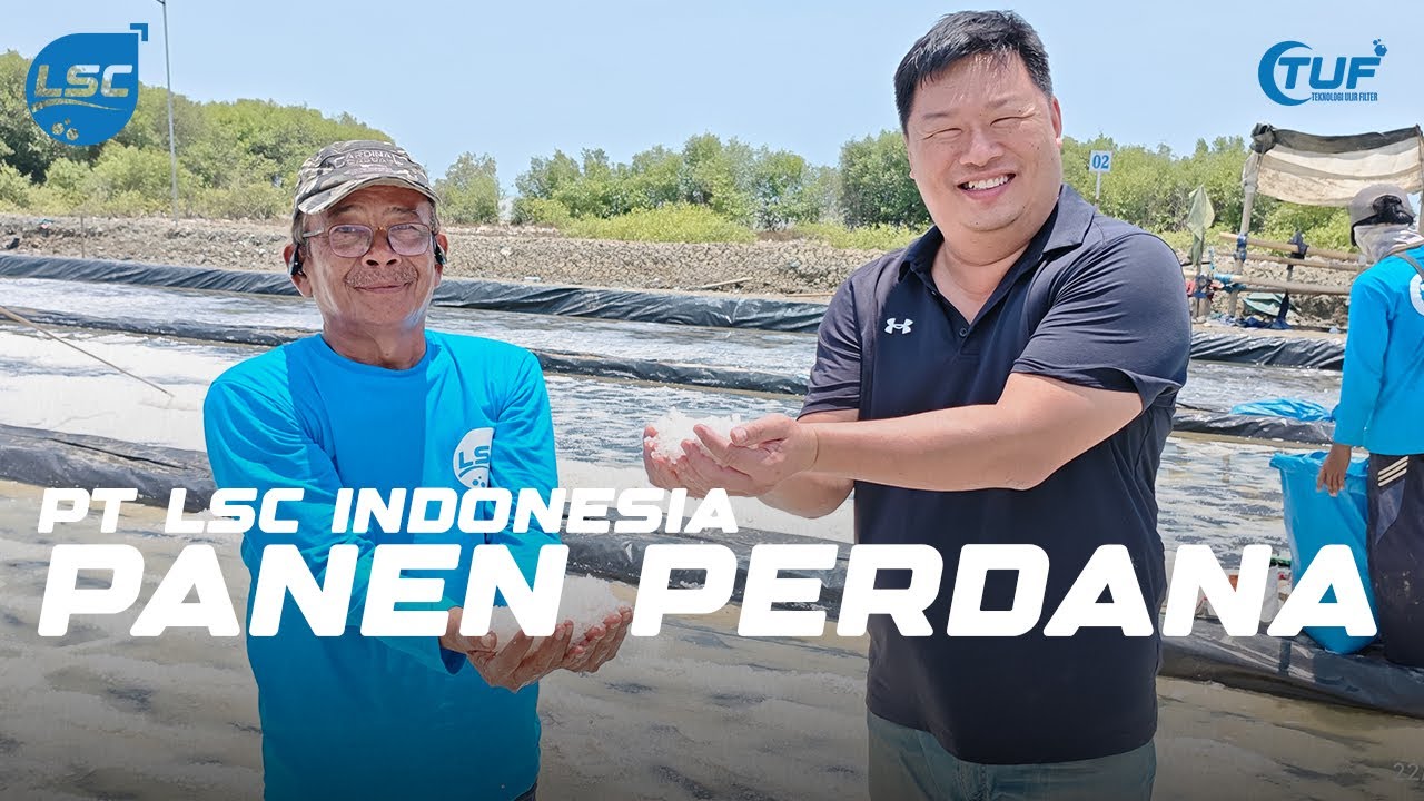 Panen Garam PT LSC | Dari Laut, Menjadi Berkah