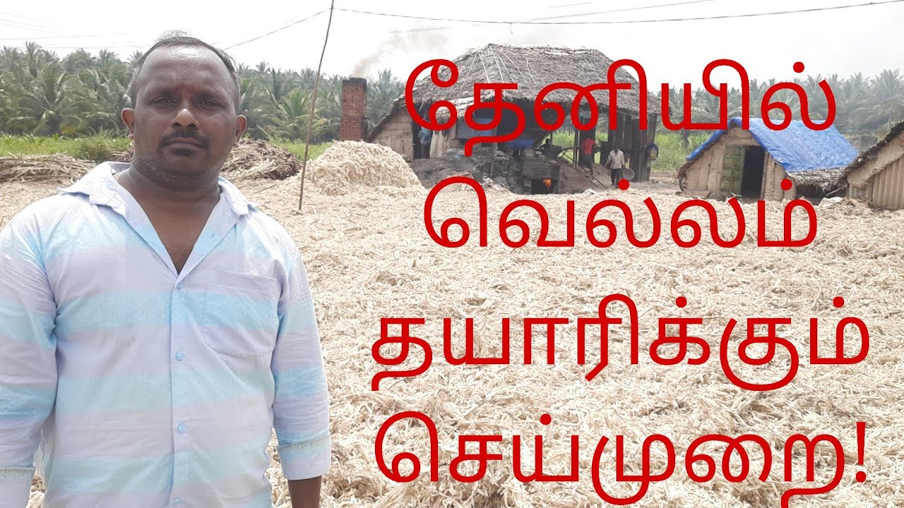 மண்டை வெல்லம் தயாரித்தல்!