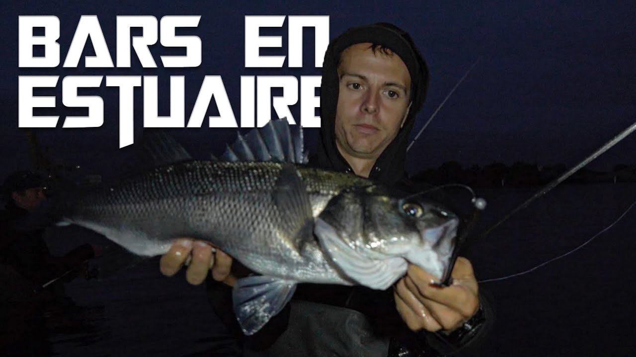 Comment pêcher le BAR en estuaire au leurre souple ?