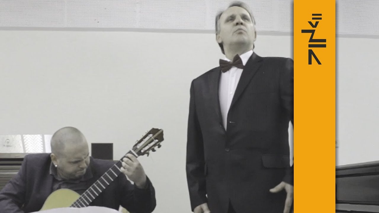 Franz Schubert - Serenade (voice and guitar)