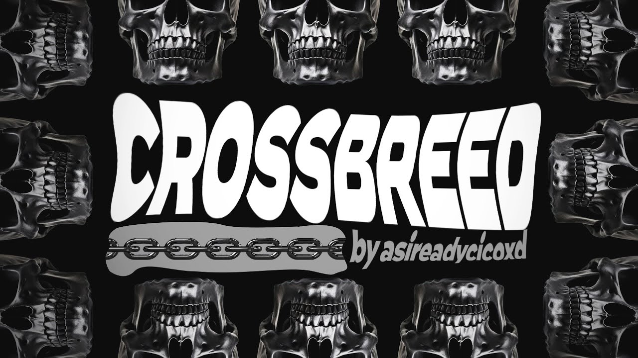 INSANE CROSSBREED DNB DJ SET 2024! | Asireadycicoxd