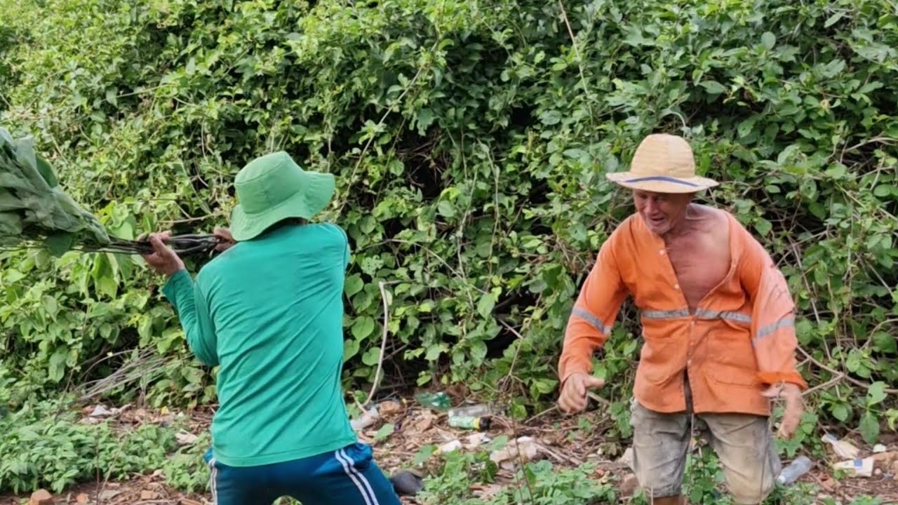 Seu Antônio jogou brasas em cima de seu mane #comedia #humor #pegadinha #videosengracados
