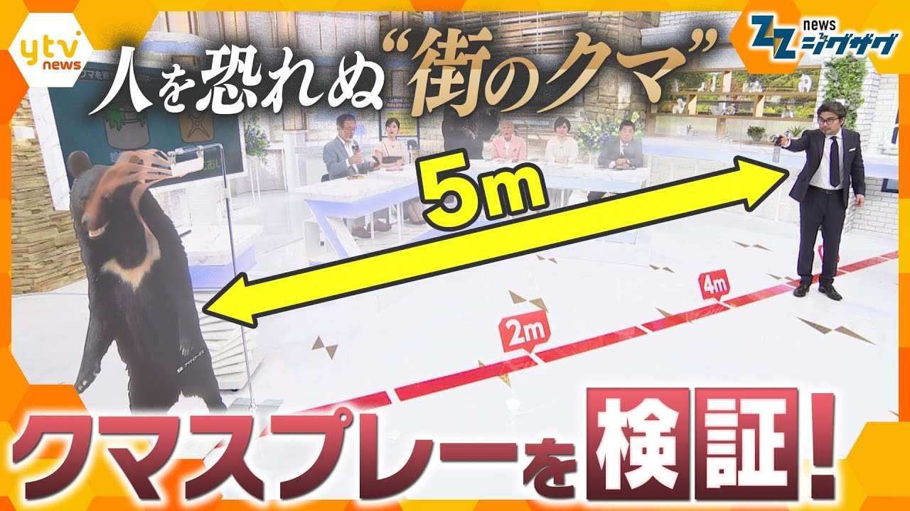 【ジグザグ考論】相次ぐクマ被害…東京23区内にも出没する可能性が？【ニュースジグザグ】