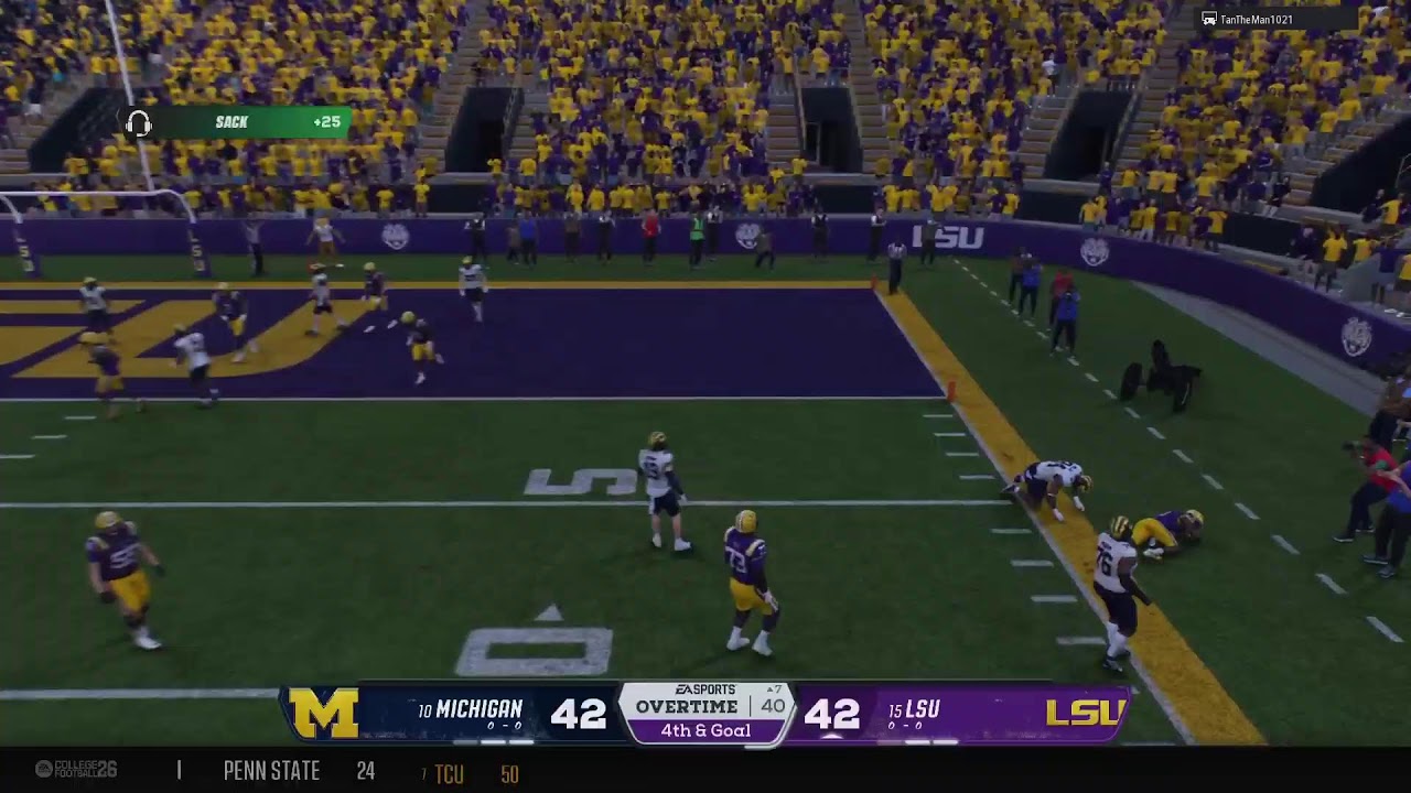 Michigan vs LSU