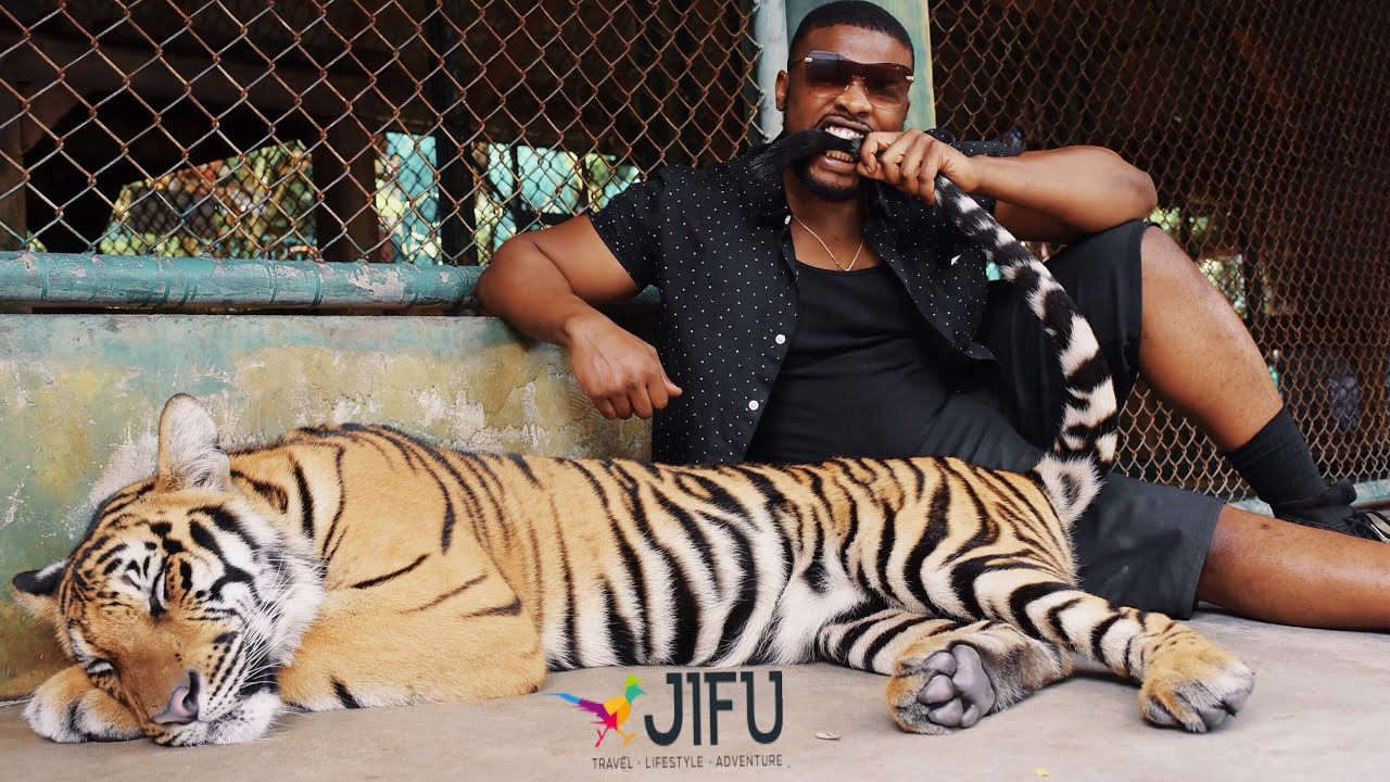 What is JIFU? #MogulTrips