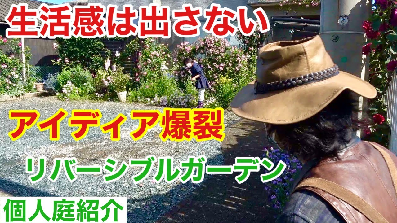 【狭い庭にバラ５０本】お花で上手に目隠ししている個人庭紹介します　　【カーメン君】【園芸】【ガーデニング】【初心者】【鈴木さん】【リバーシブル】