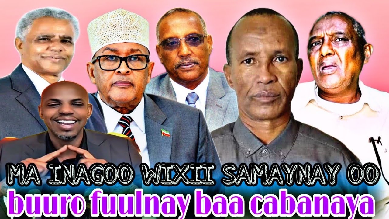 WALEE GARXAJIS BAN TURUB BARAN WALI CIRO NIN G36 AH OO AWAL & HABARJECLO LAGA CELINAYO BAY U ARKAAN🤣
