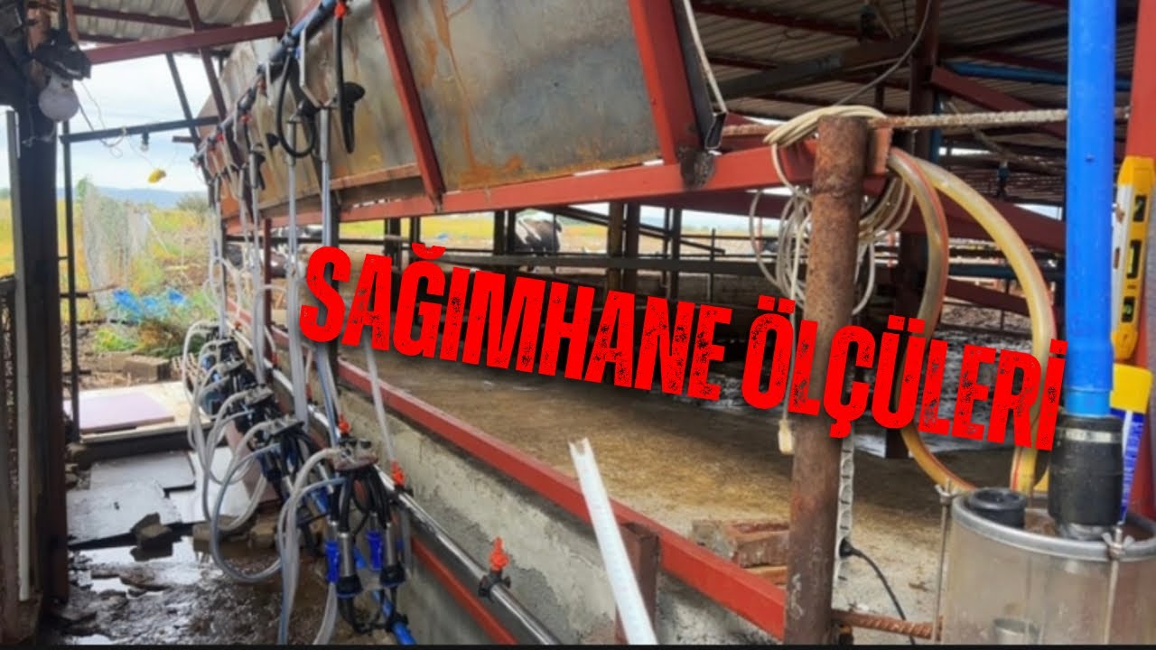 4/1 Fiyatına Sağımhane Yapımı / Sağımhane Yapılışı  Ölçüleri 