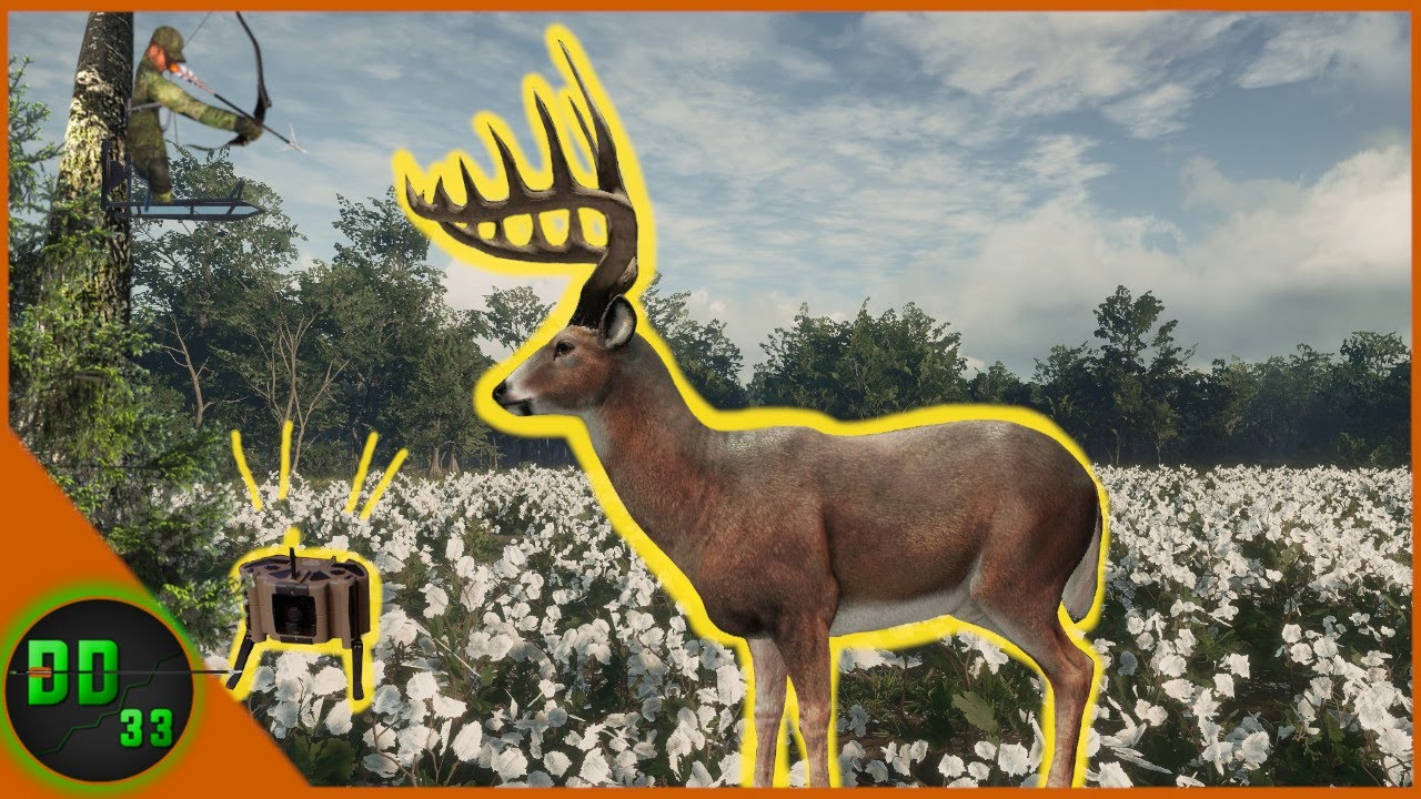 Calling In MONSTER WHITETAIL From a Cotton Field! Call Of The Wild