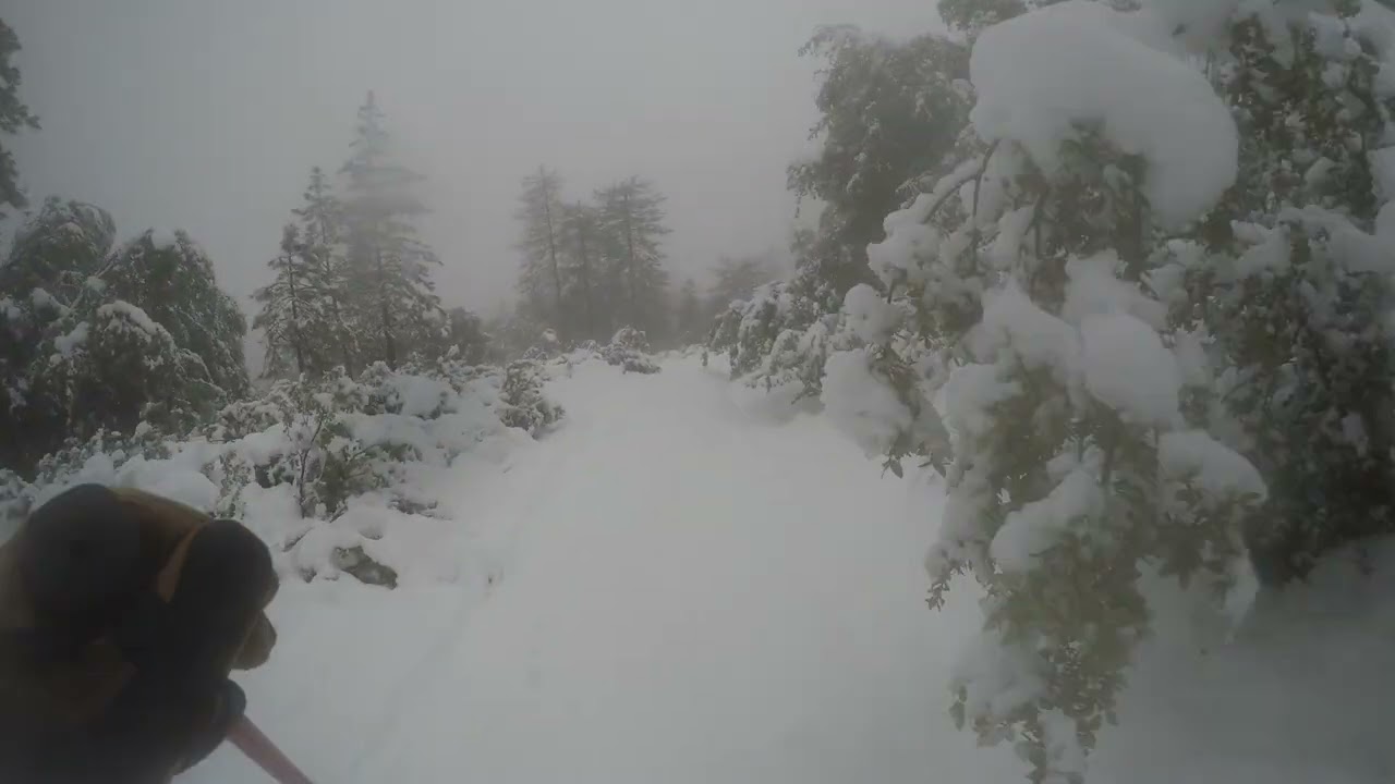Ponderosa Basin Skiing, 3/5/2023, Five of Five