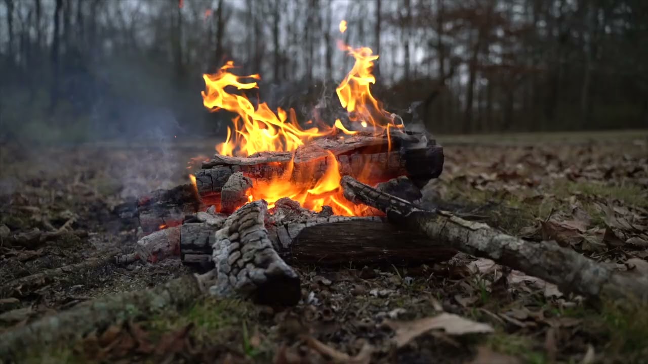 POV: Cozy Campfire Meals Pt.1