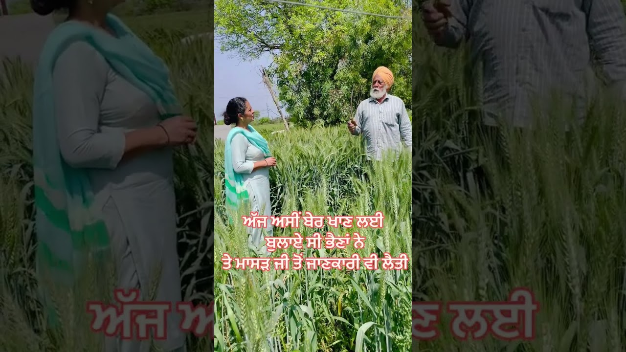 17 ਮਾਰਚ 2026
