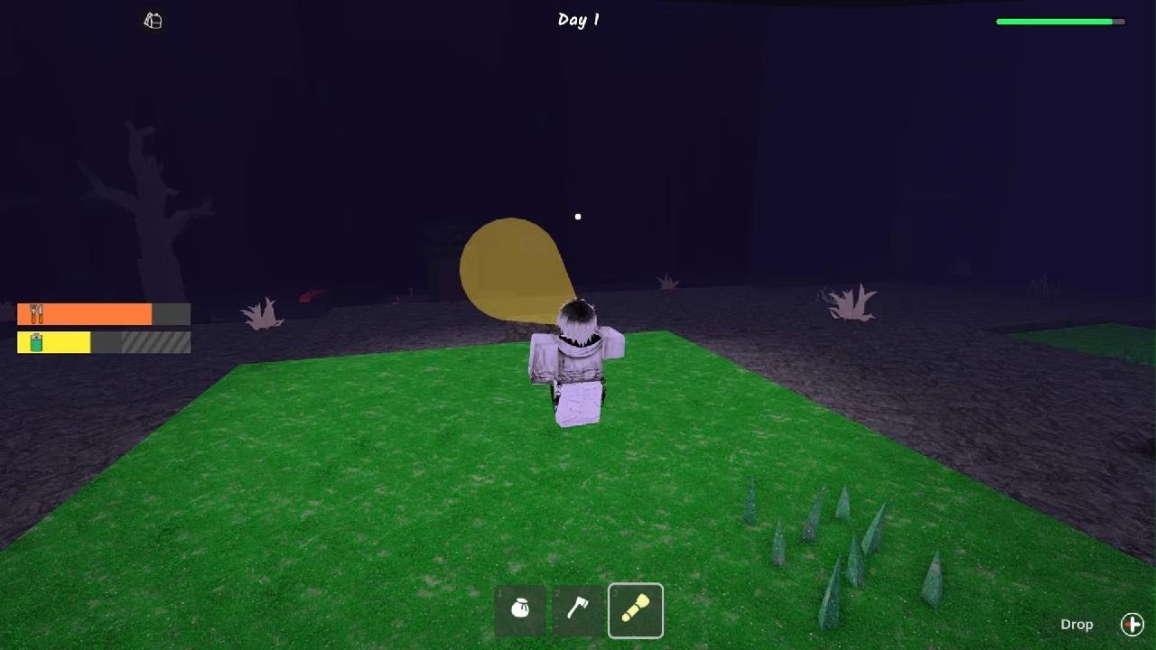99 nights in the Forrest