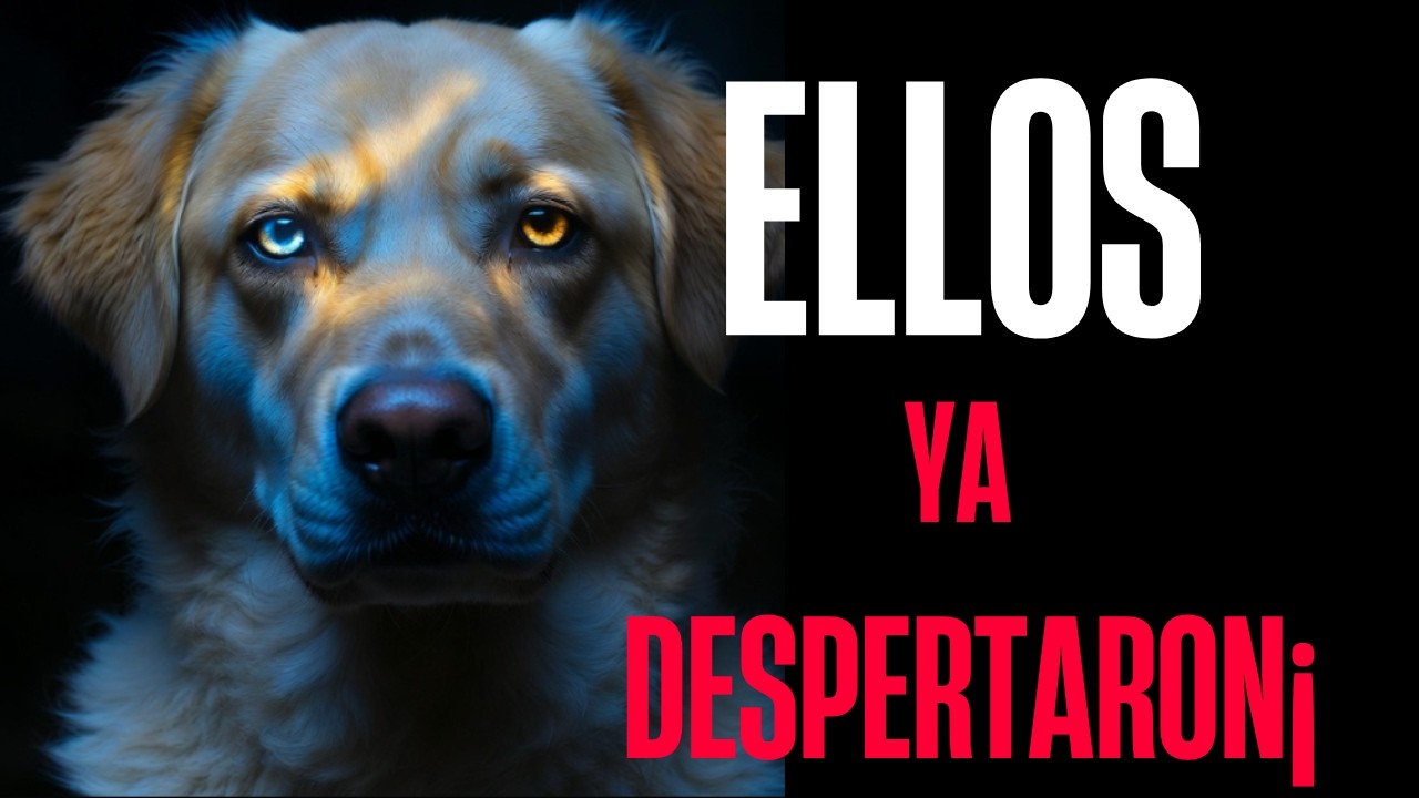 LA INQUIETANTE PROFECÍA SOBRE LOS PERROS QUE HOY SE ESTÁ CUMPLIENDO