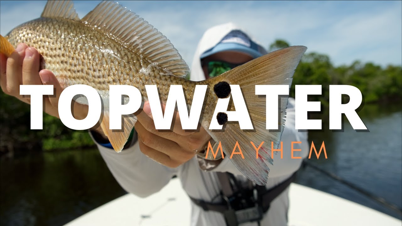 Catching BIG Redfish on my New Favorite Topwater!!