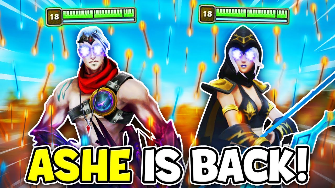 ASHE SUPPORT IS BACK IN A HUGE WAY