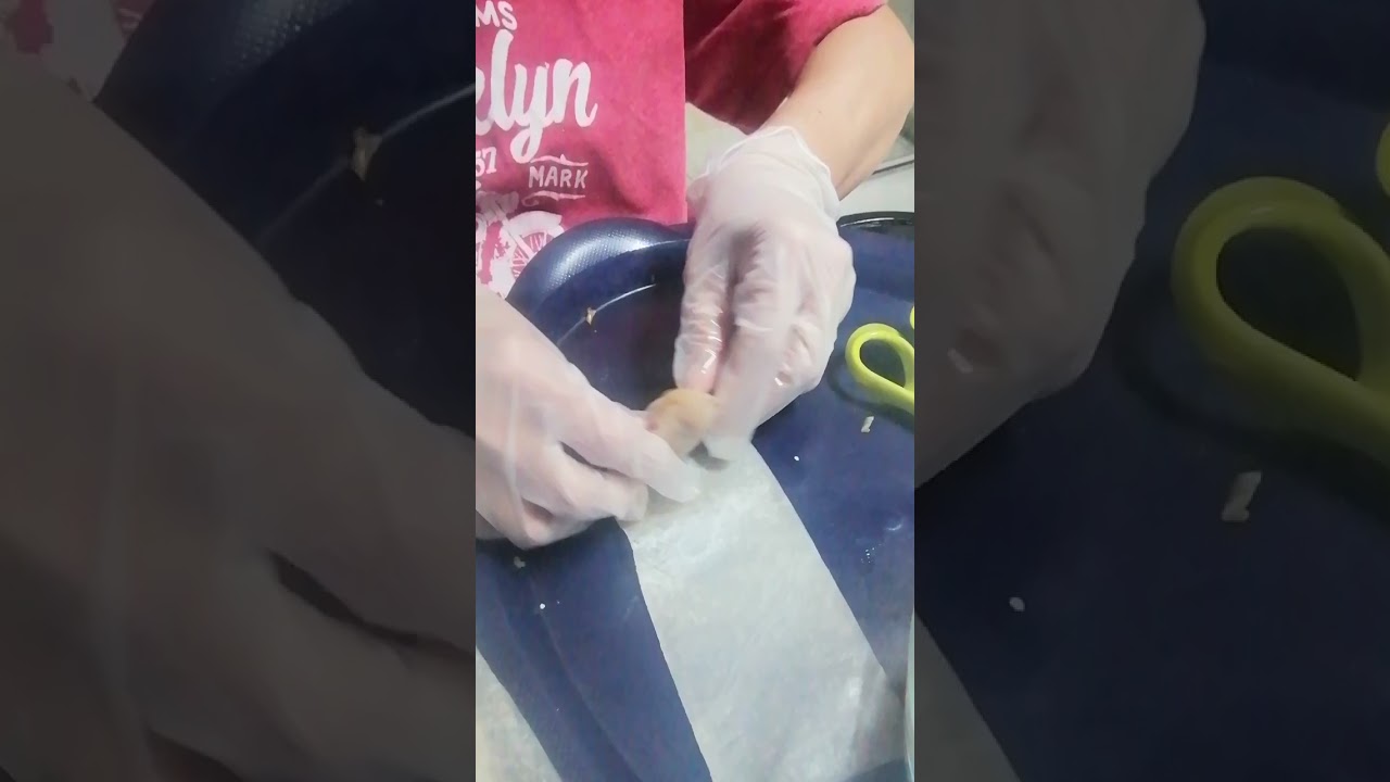 Ginisang indomie binalot sa ajina para sambosa super sarap 
