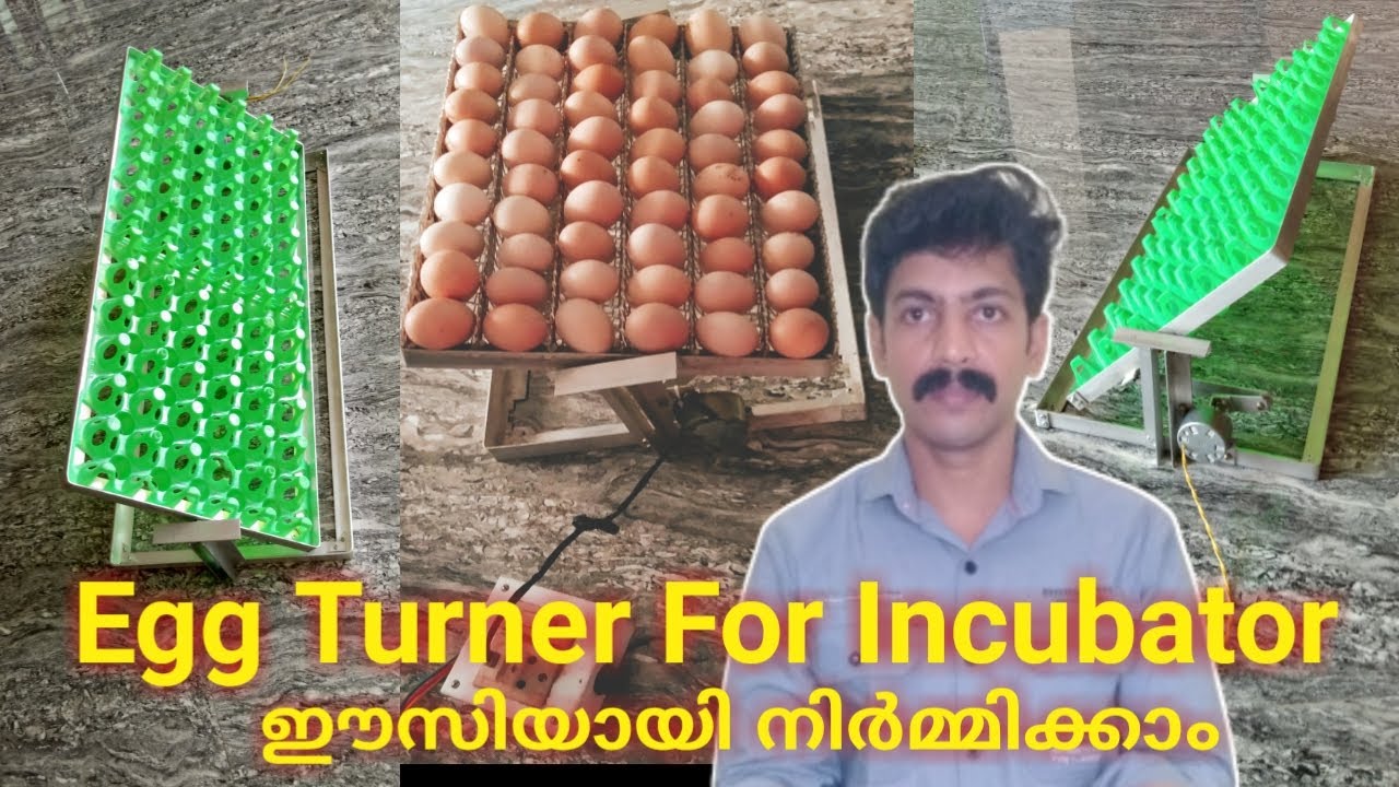 How to make automatic egg turner for incubator / Eggs turning tray / Incubator egg turner