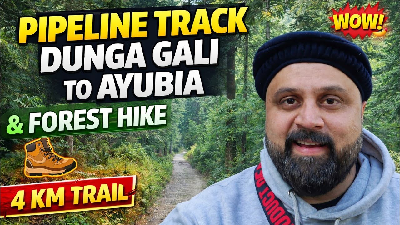 Most Beautiful Forest Walk in Pakistan | Pipeline Track Dunga Gali to Ayubia