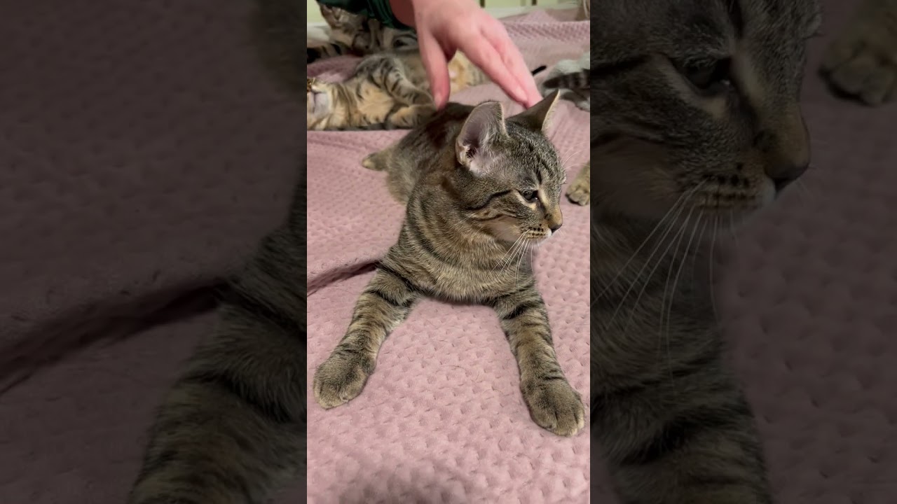 Giving my Boy Simon some Lovin