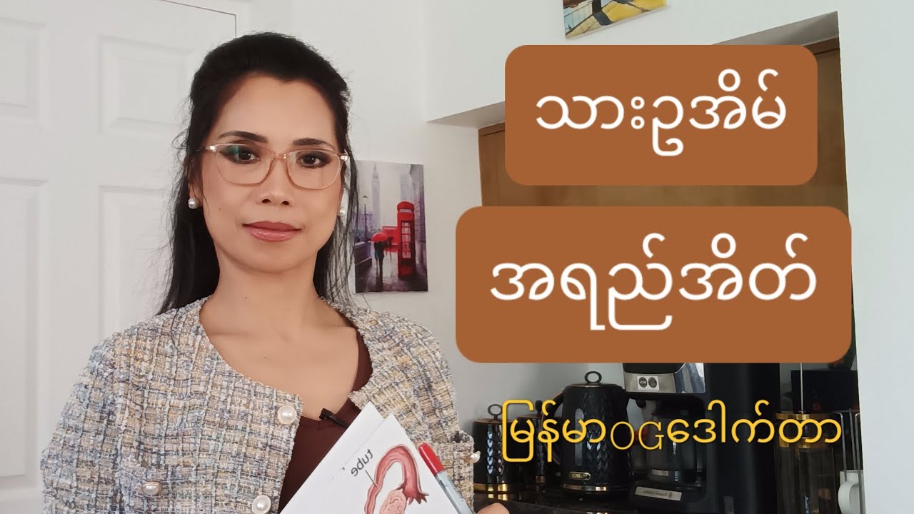 သားဥအိမ် အရည်အိတ်