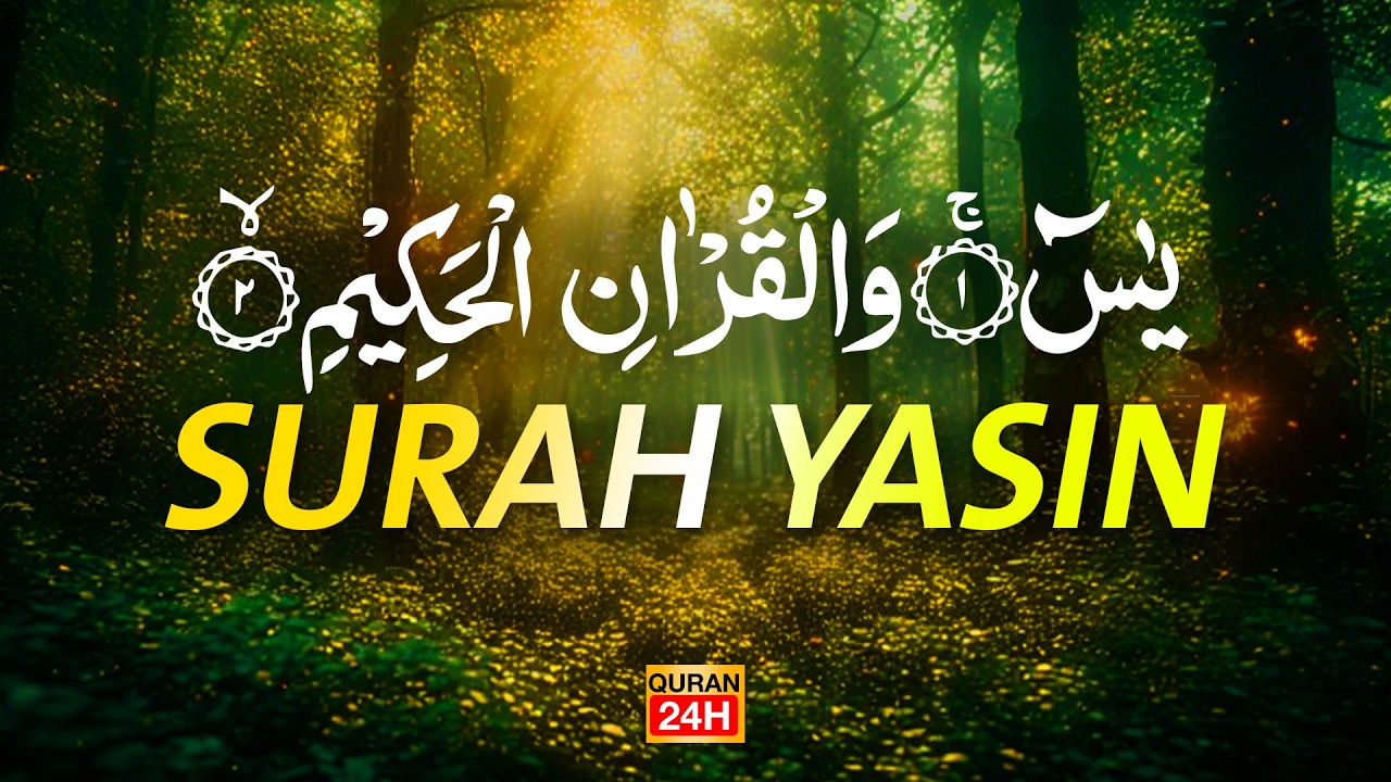 Surah Yaseen Surah Ar Rahman | Best Qur'an Recitation | Surah Yasin full | With Arabic text