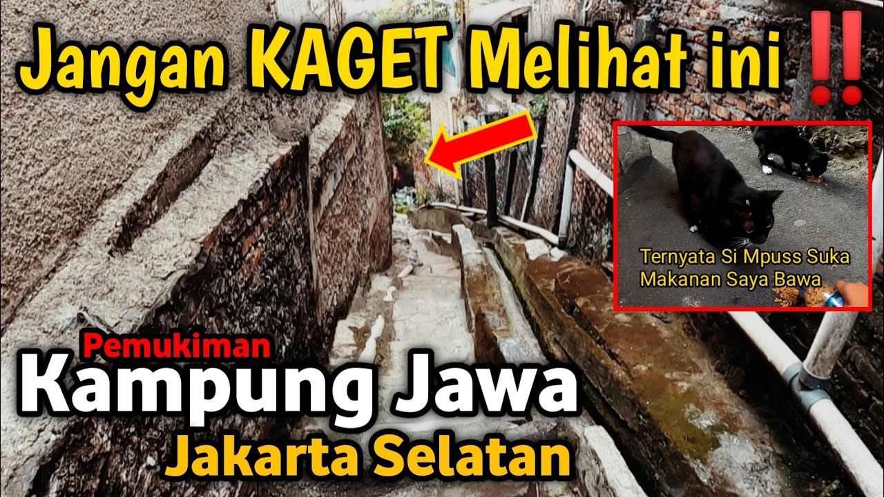 Anda Pasti Kaget Melihat ini‼️Pemukiman Kampung Jawa Pasar Minggu Jakarta Selatan