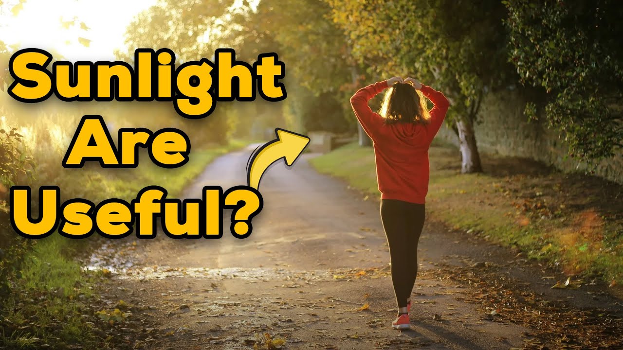 How Sunlight Help Humans? ( It's Not What You Think )
