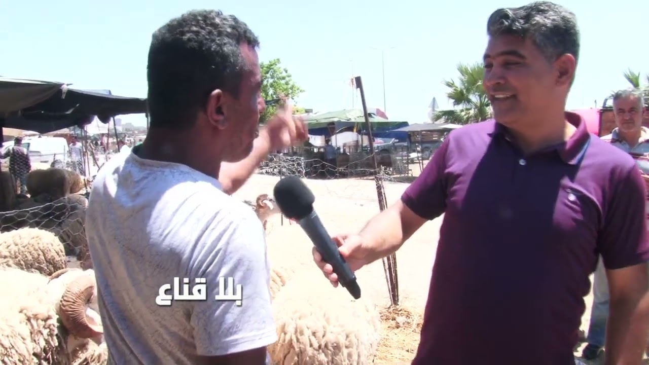 أسعار خيالية للعلوش في رحبة الملاسين..أرخص علوش بمليون وثلاثمائة دينار..عيد الاضحى للتعكعيك فقط!!