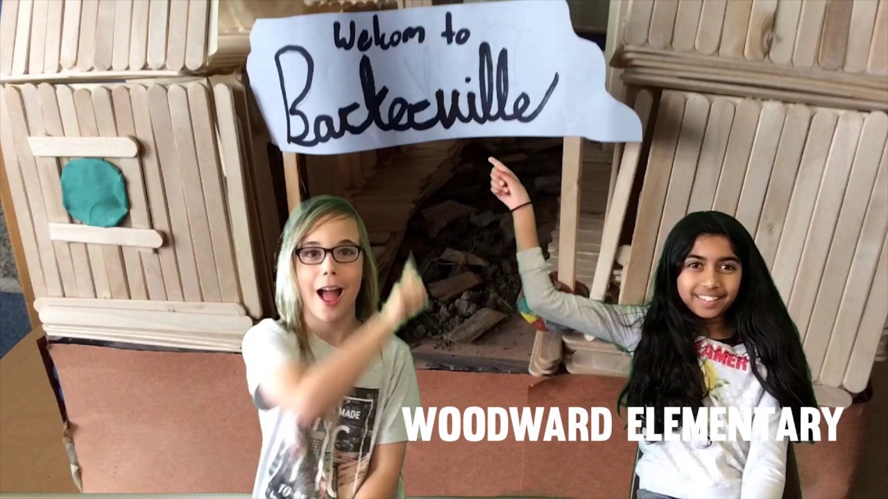 The Evolution of the Library