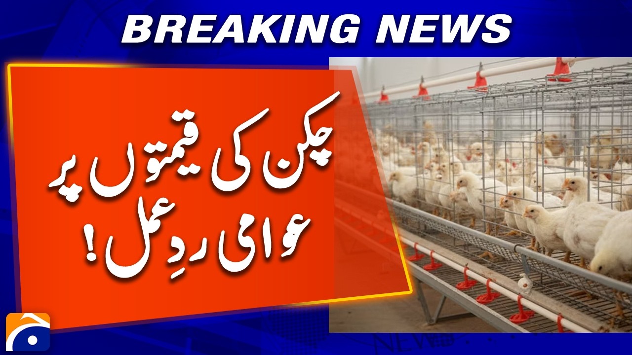 BREAKING: Chicken Prices Surge | Public Reaction Intensifies | Geo News