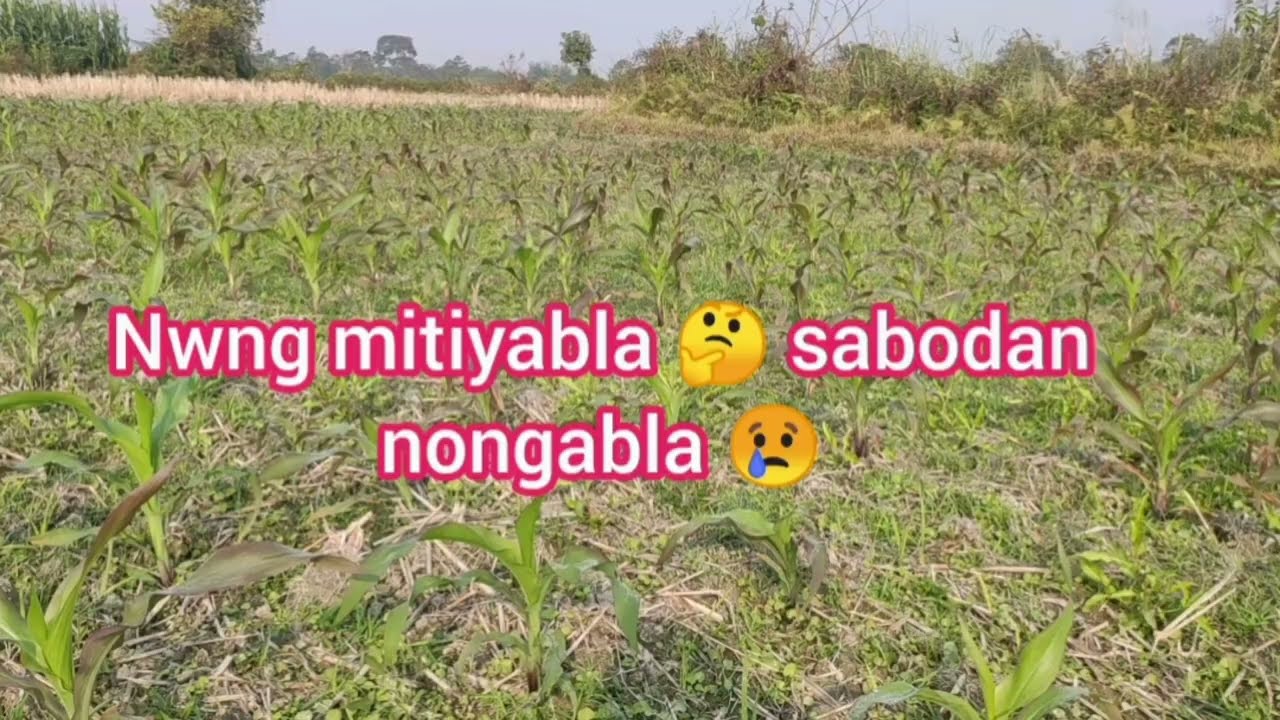 Jukam abadni be mwnse kwtakow nwng mwntiyabla.