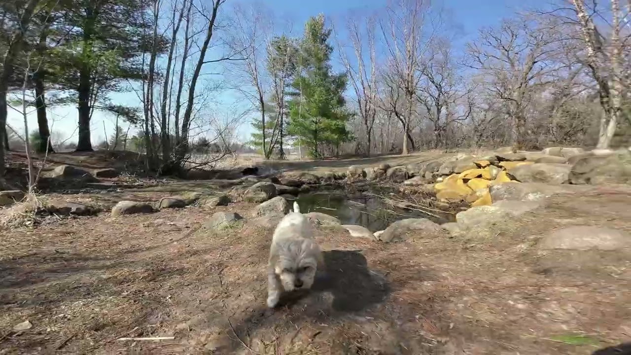 A 2 Beer Walk in The Park Ep. 86