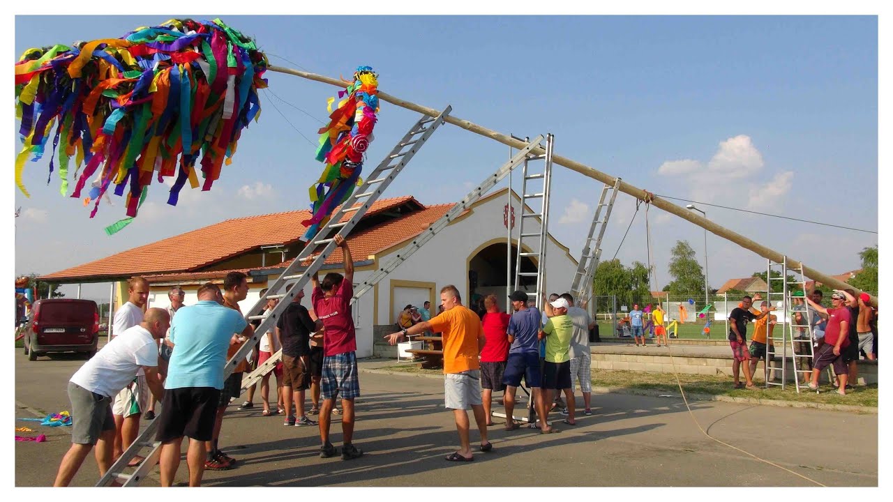 Hody - Horní Věstonice 2015  - Stavění máje