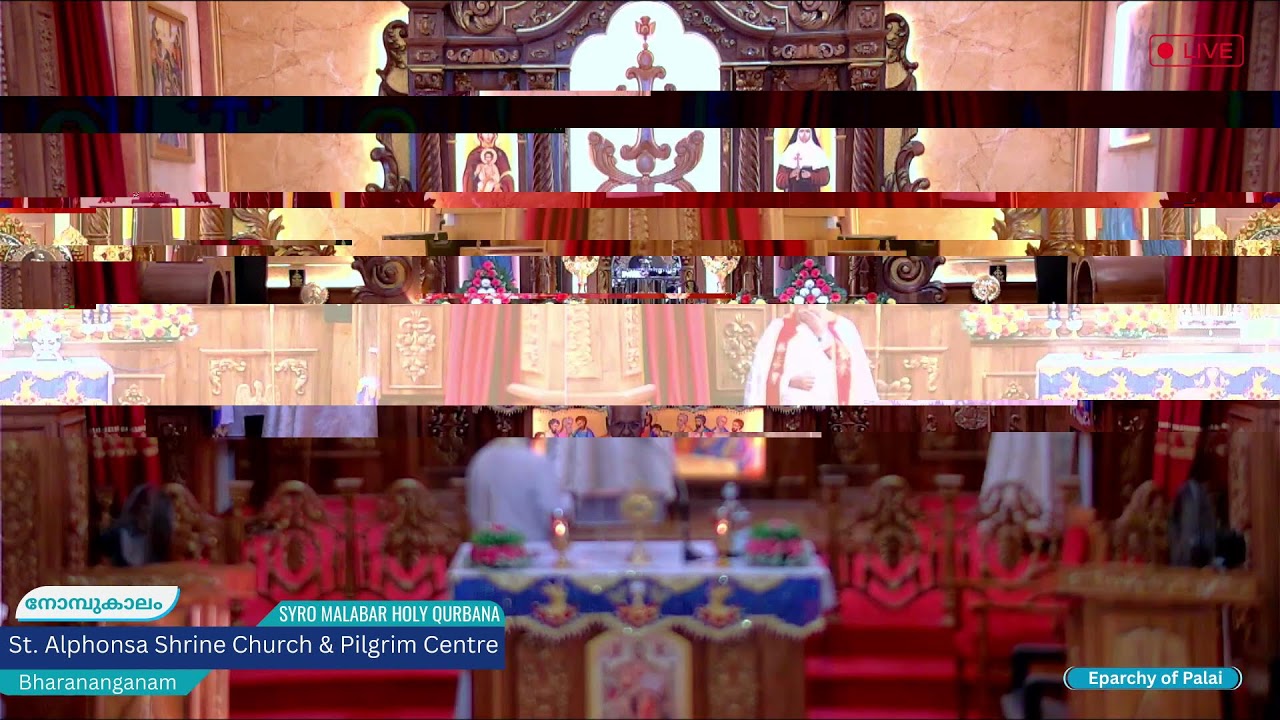 Holy Qurbana Live|6.00am |Sunday, 16 MARCH 2026 | St,. Alphonsa  Shrine, Bharananganam
