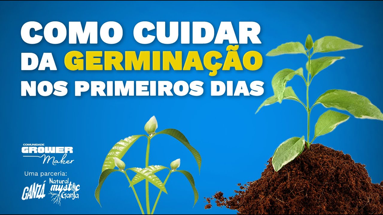 A GERMINA&Ccedil;&Atilde;O DAS SEMENTES - O come&ccedil;o de vida da Planta !!!
