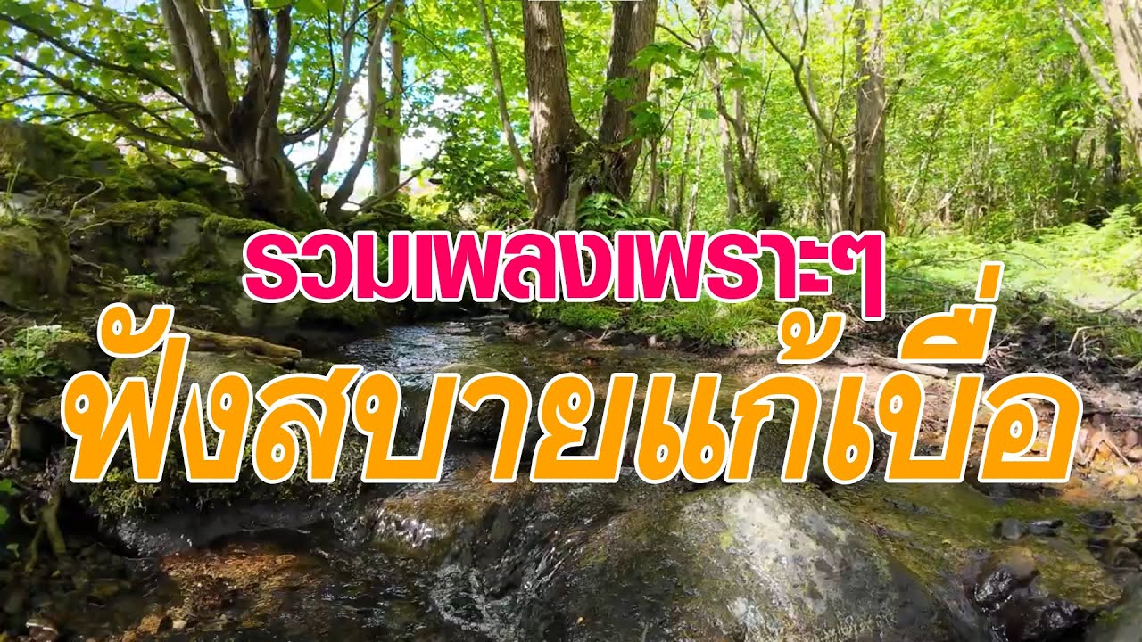 รวมเพลงเพราะๆฟังสบายแก้เบื่อ