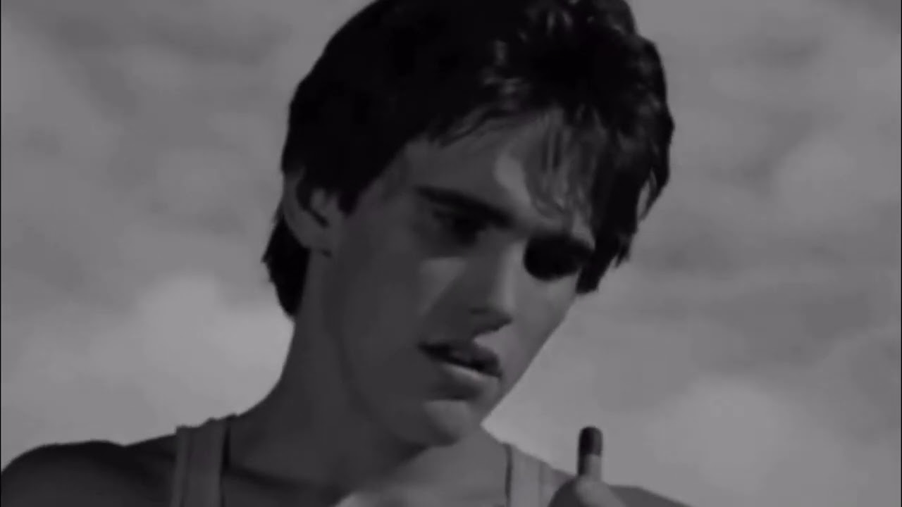 smells like teen spirit Dallas/Rusty James #rustyjames #edit #mattdillon #dallaswinston #rumblefish