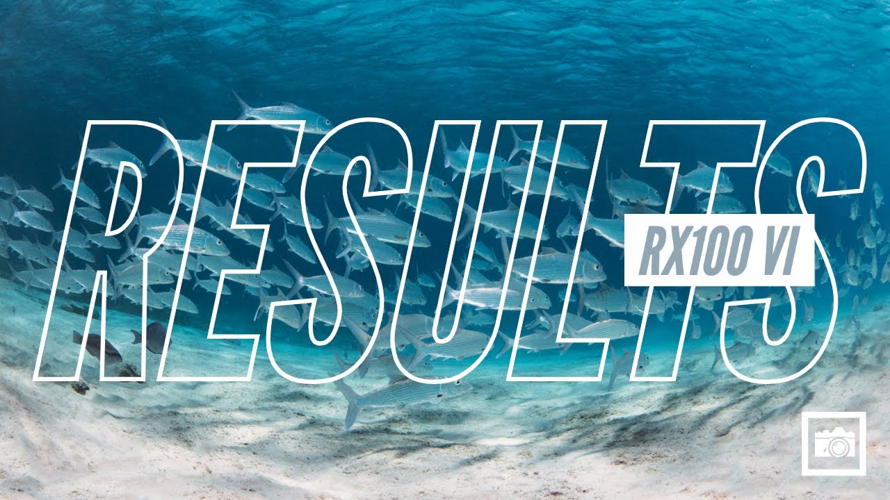 Sony RX100 VI Underwater Results from Bonaire