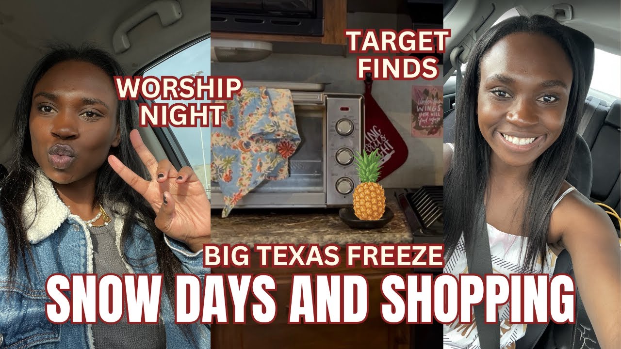 Austin Shut Down for Snow… and I Still Went to Target