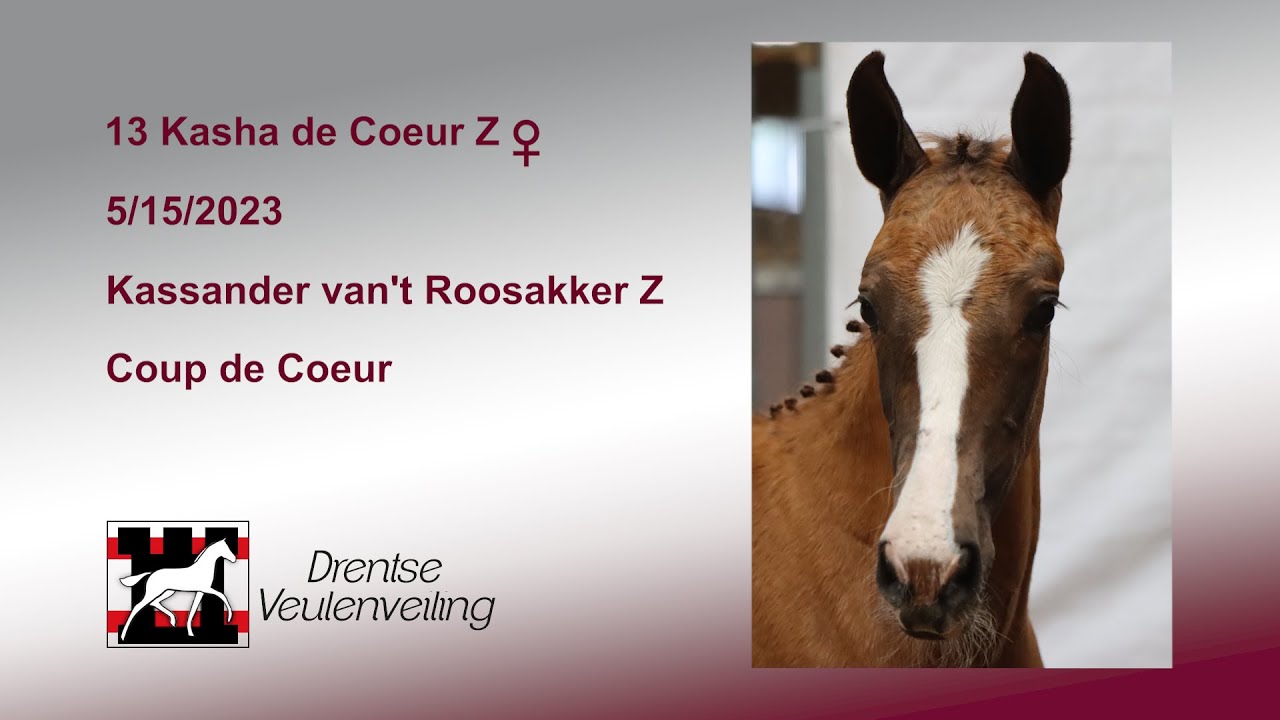 13 Kasha de Coeur Z