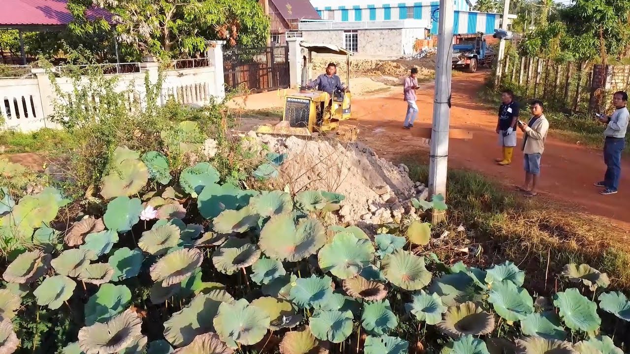 Amazing driver skills bulldozer pushing soil with dump truck filling delete the pond