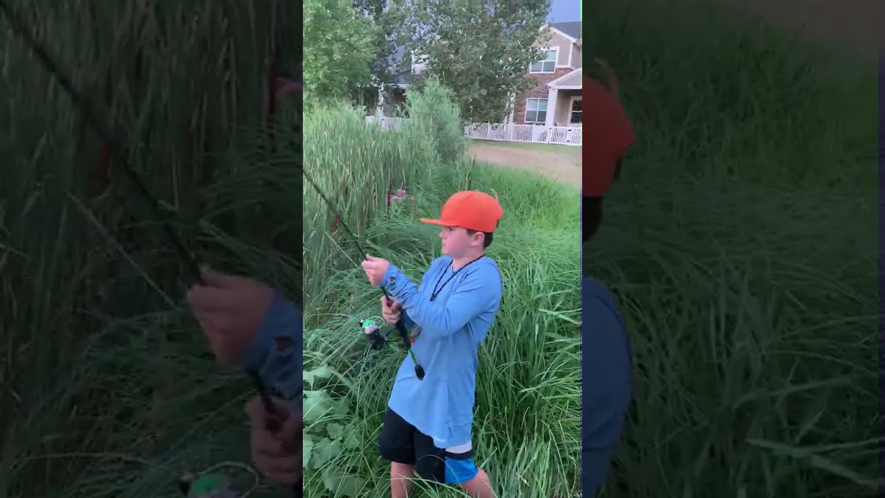 MONSTER Colorado Wiper fish caught from shore!