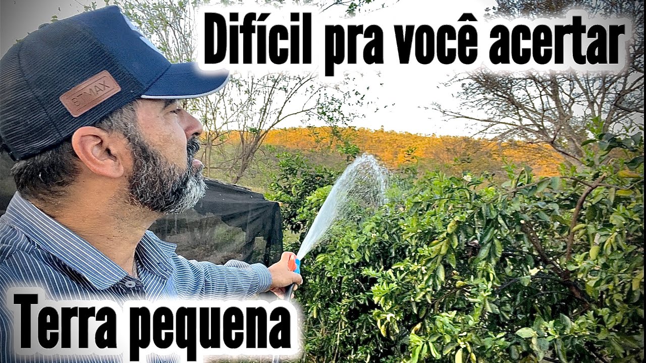 PORQUE MEXER COM TERRA PEQUENA É MAIS DIFÍCIL QUE MEXER EM TERRA GRANDE | VOU EXPLICAR ISSO AGORA