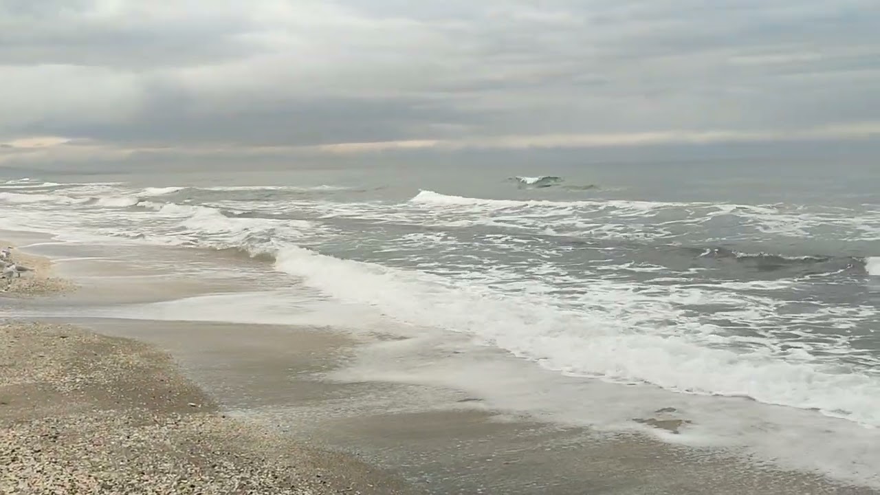 Dalga sesi 🌊