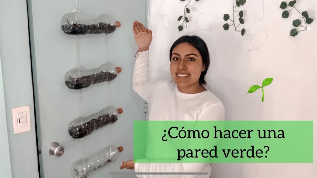 &iquest;C&oacute;mo hacer una pared verde?🌱